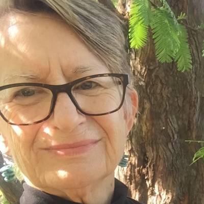 克里斯汀·瑞伯·哈里斯的化身