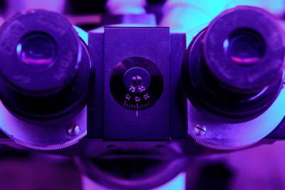 扎克·维勒克斯从照片中修改的显微镜